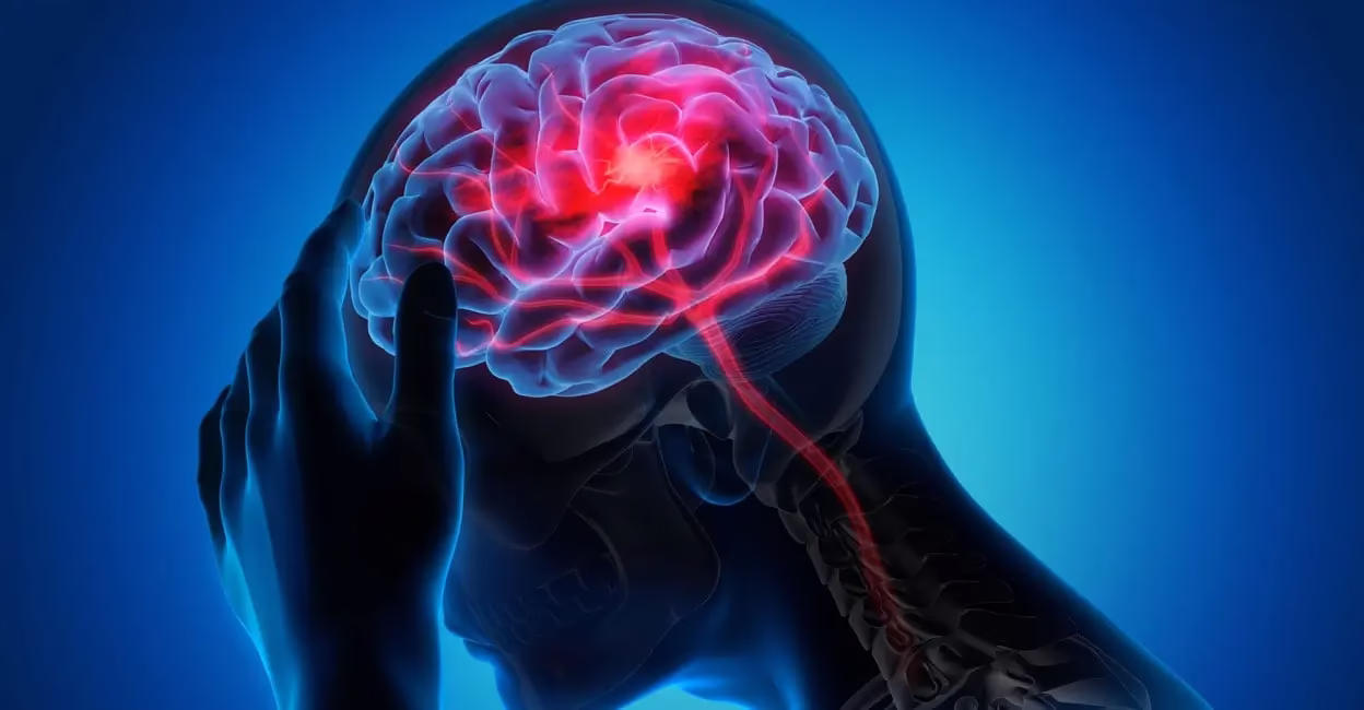 Scientists Discover Brain Receptor ADGRG1 That Aids Alzheimer’s Plaque Removal